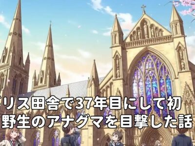 イギリス田舎で37年目にして初めて野生のアナグマを目撃した話